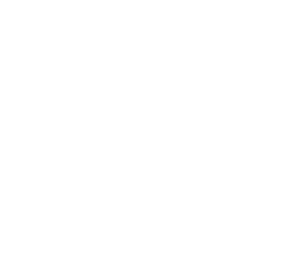 Logo der Regionalliga Südwest in weißer Darstellung